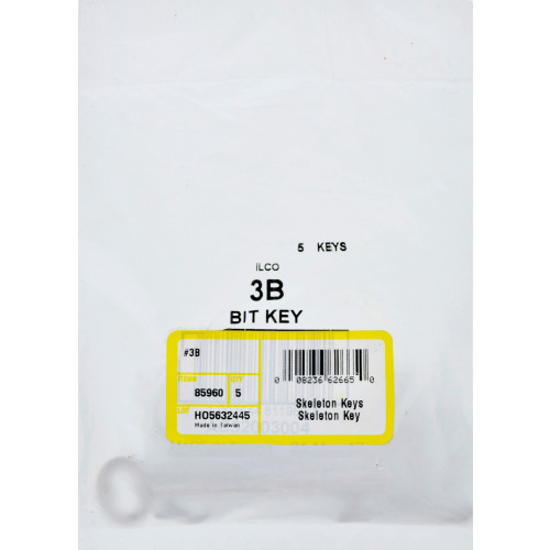 Hillman Skeleton Key #3B