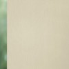 Dense 7536 Roller Blind