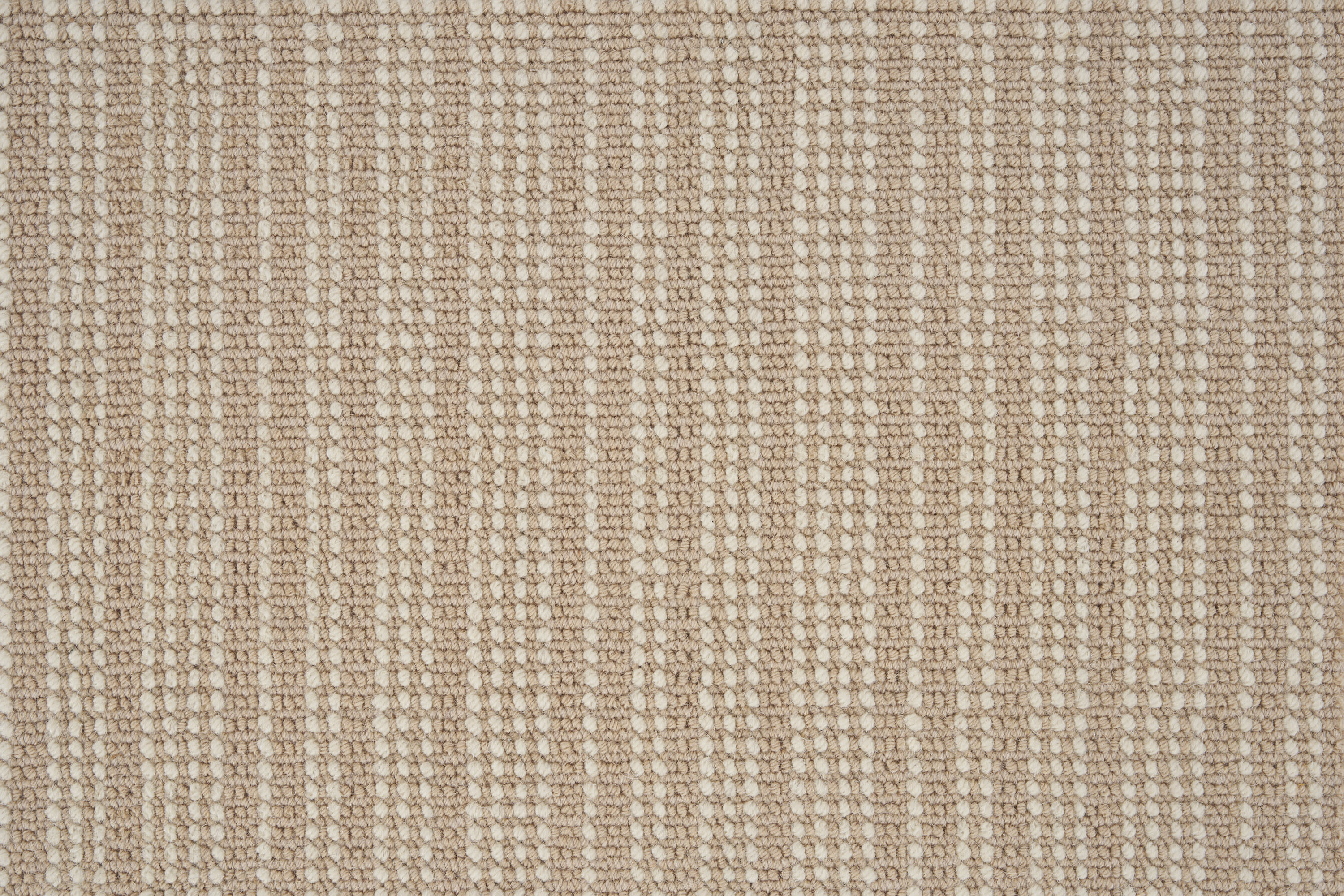 color-rug1