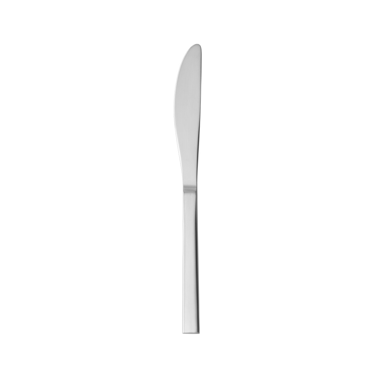Arezzo Brushed Dinner Knife 8.75"