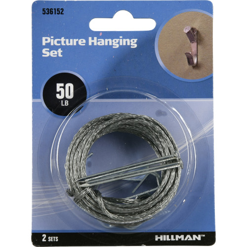 Hillman Zinc Picture Hanging Kit (50lb)
