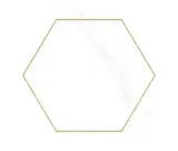 Concert White 7×6 Gold Hexagon Decorative Tile Matte Rectified