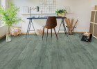 Access Point LVT Oak Silver