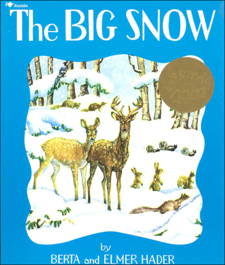Big Snow