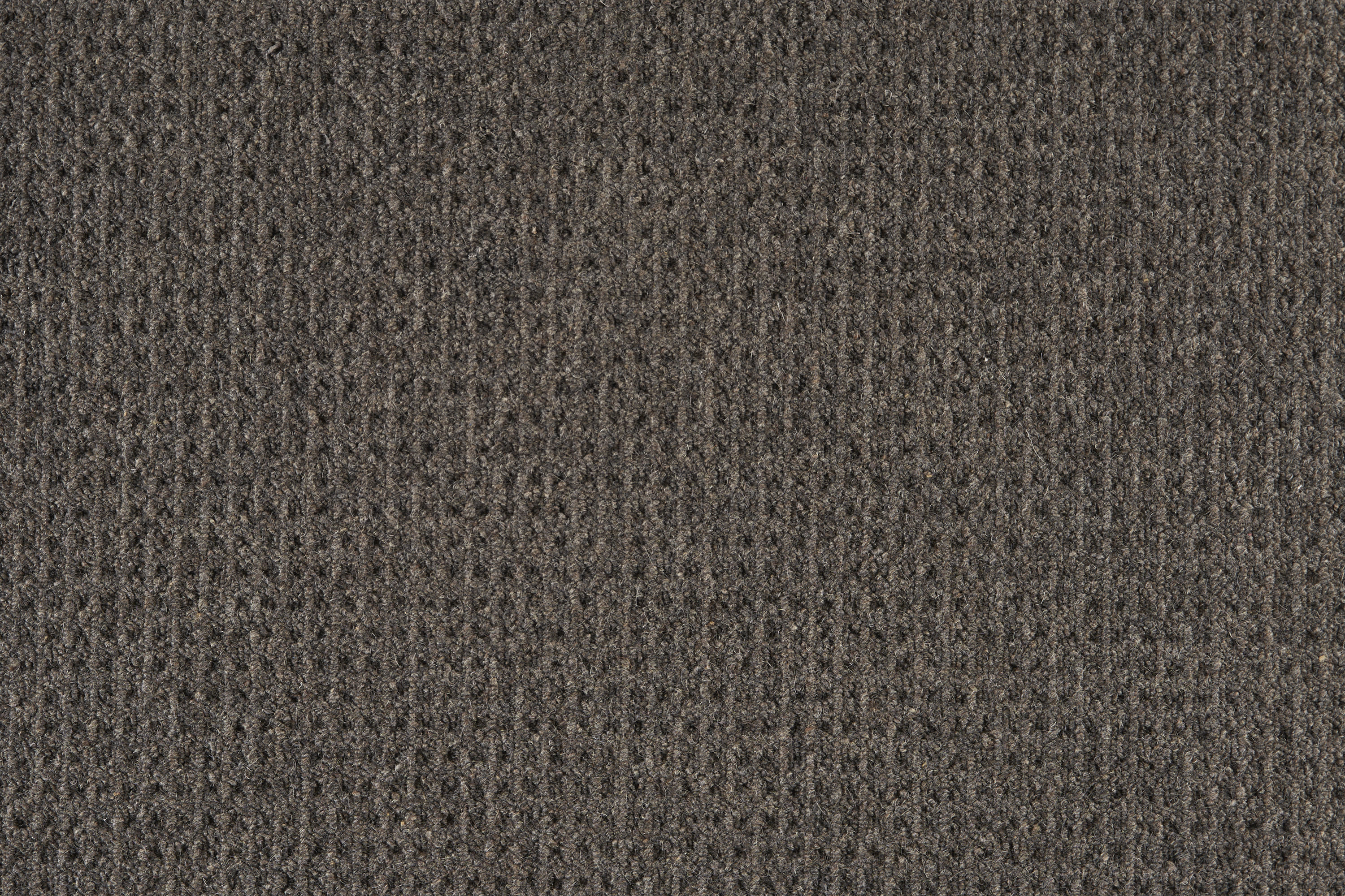 color-rug1
