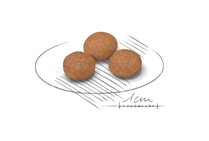 X-Small Adult 8+ kibble
