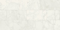 Purity Elegance 48×110 Field Tile Polished Rectified