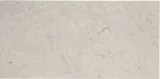 French Limestone Silver Sky 12×24 Field Tile Honed
