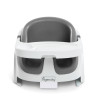 Baby Base 2-in-1™ Seat - Slate