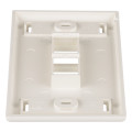 NetKey® 1-Gang, Flush Mount Vertical Faceplate, 2-Port, Includes Label and label Covers. Off White
