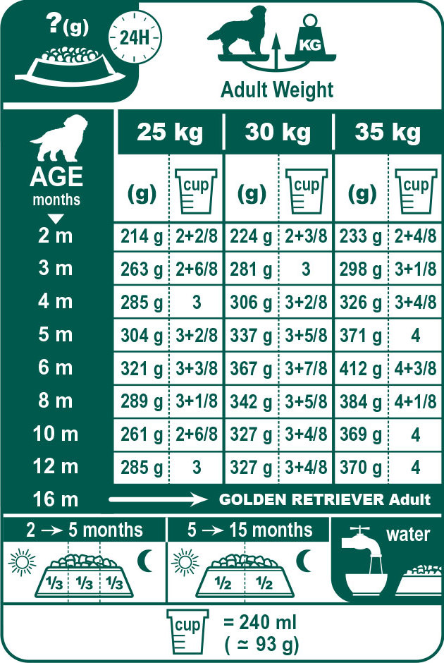 Golden Retriever Junior Dog Food ROYAL CANIN®