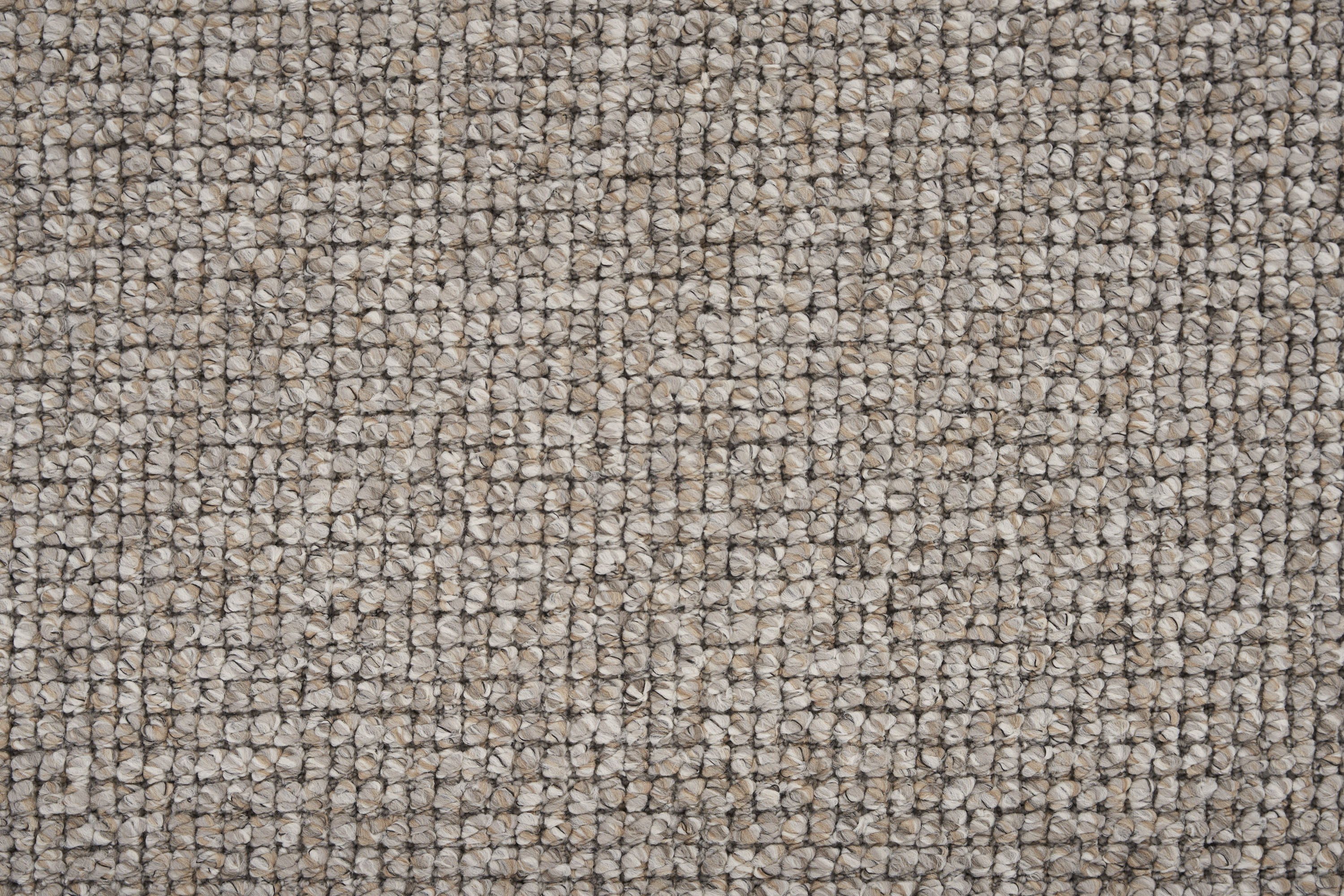 color-rug1