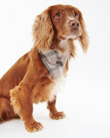 Tartan Bandana Taupe-Pink Tartan
