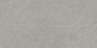 Ren Taupe 12X24 Rectified