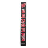 Wisconsin Badgers thumbnail 2