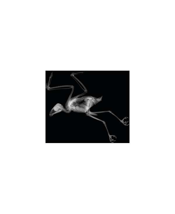 s--ipGIWJfk--/bdlaqmygi8uqtjtjjn7w.jpg