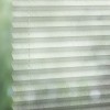 Feathers 8077 Pleated Blind