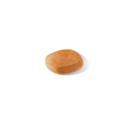 Dalmatian Adult kibble