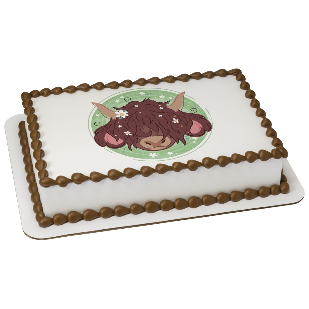 Image Cake Highland Cow