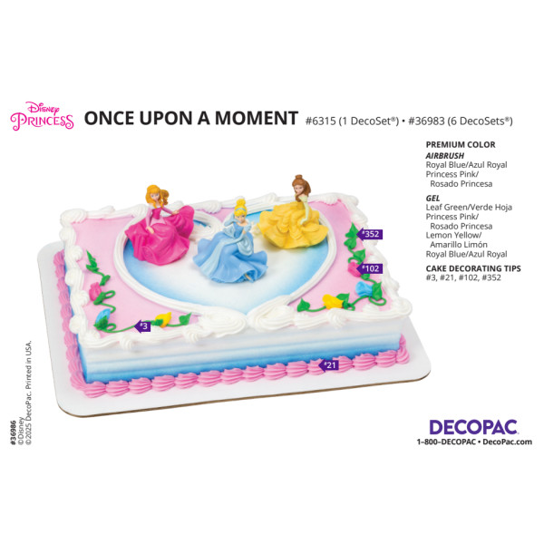 Disney Princess Once Upon A Moment Cake Decorating Instruction Card