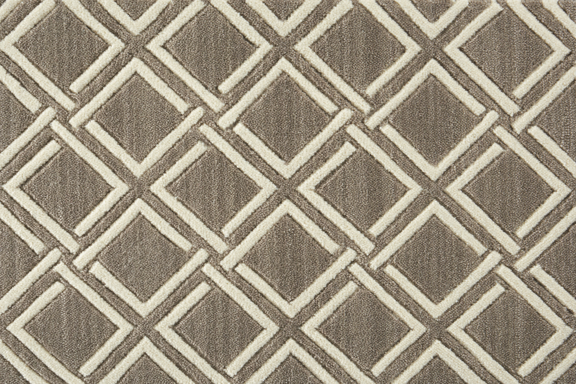 color-rug1