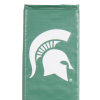 Michigan State Spartans thumbnail 4