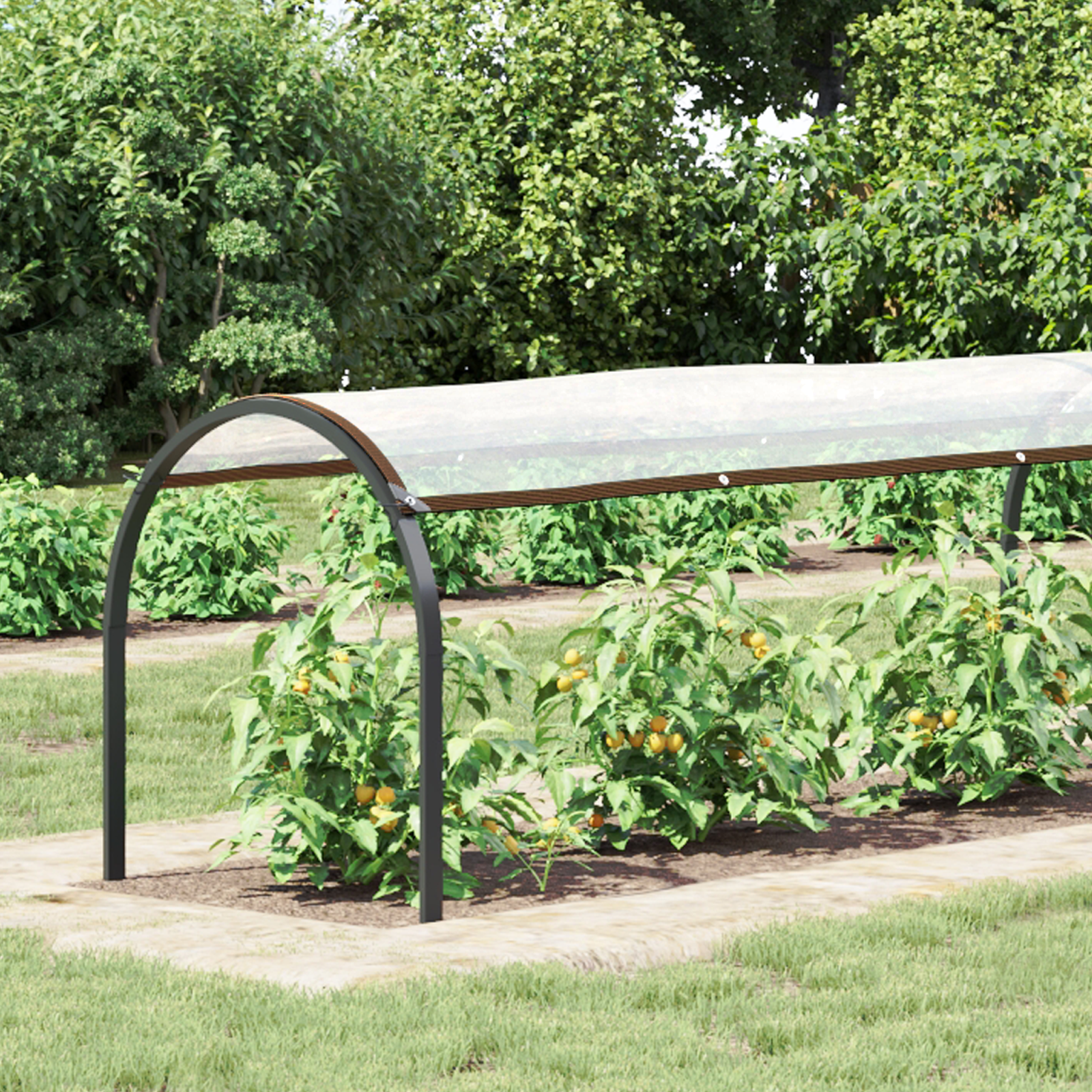 Plantenhoes Doorzichtig 10 x 1,5 m PE image 2