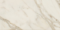 Lotus Ivory 24×48 Field Tile Polished Rectified