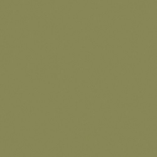 Olive-green textured wall occupying the frame, uniformly lit and stationary; surface shows subtle paper-like grain, filling a neutral interior space with even, diffuse lighting and no visible features.