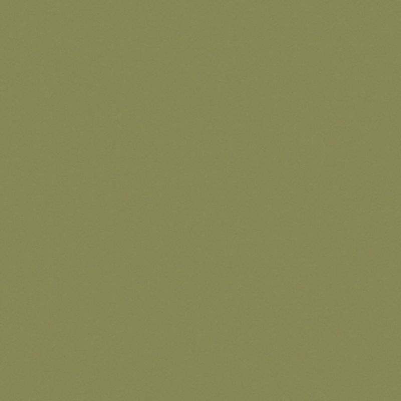 Olive-green textured wall occupying the frame, uniformly lit and stationary; surface shows subtle paper-like grain, filling a neutral interior space with even, diffuse lighting and no visible features.