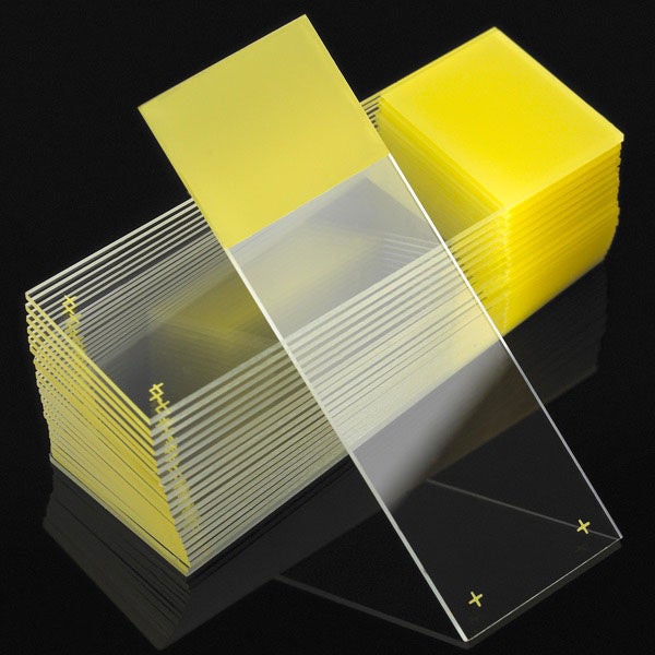 Diamond® White Glass Charged Positive Charged Microscope Slide, Yellow End