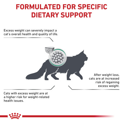 Satiety Support Weight Management Dry Cat Food 