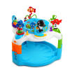 Rhythm of the Reef Activity Saucer™
