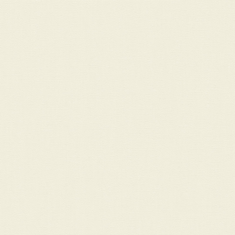 Acacia Cream Vertical blind