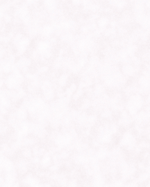 [B4176]Bainbridge White 32x40
