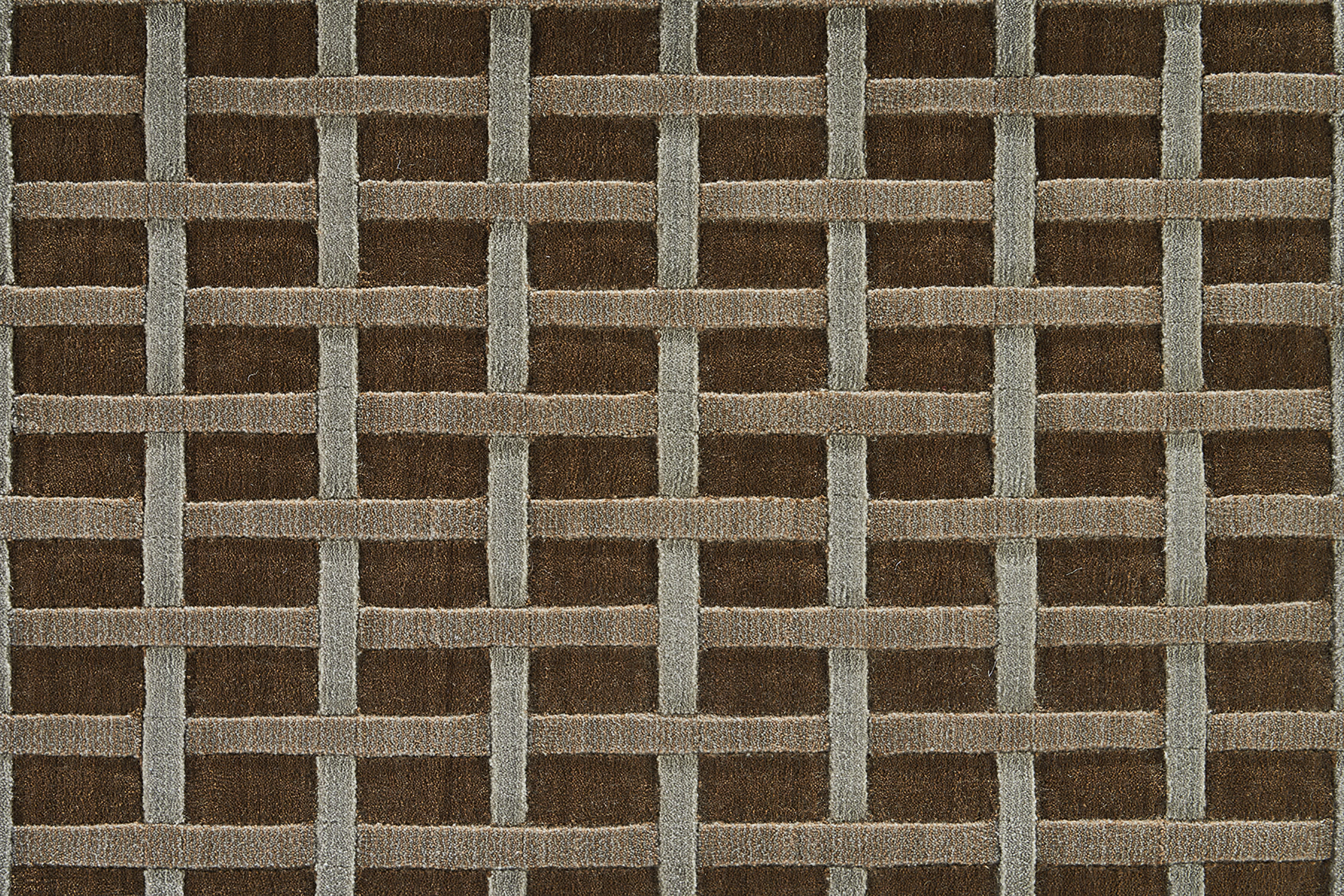 color-rug1