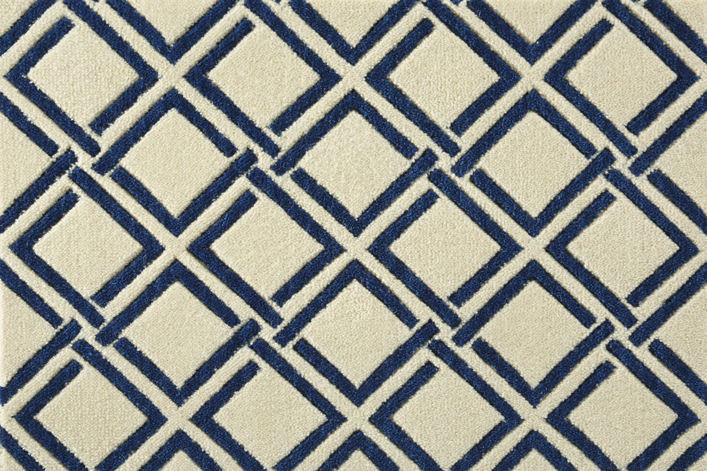 color-rug1