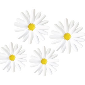 Happily Ever Elementary Retro Remix Daisies Dimensional Accents, Pack of 4