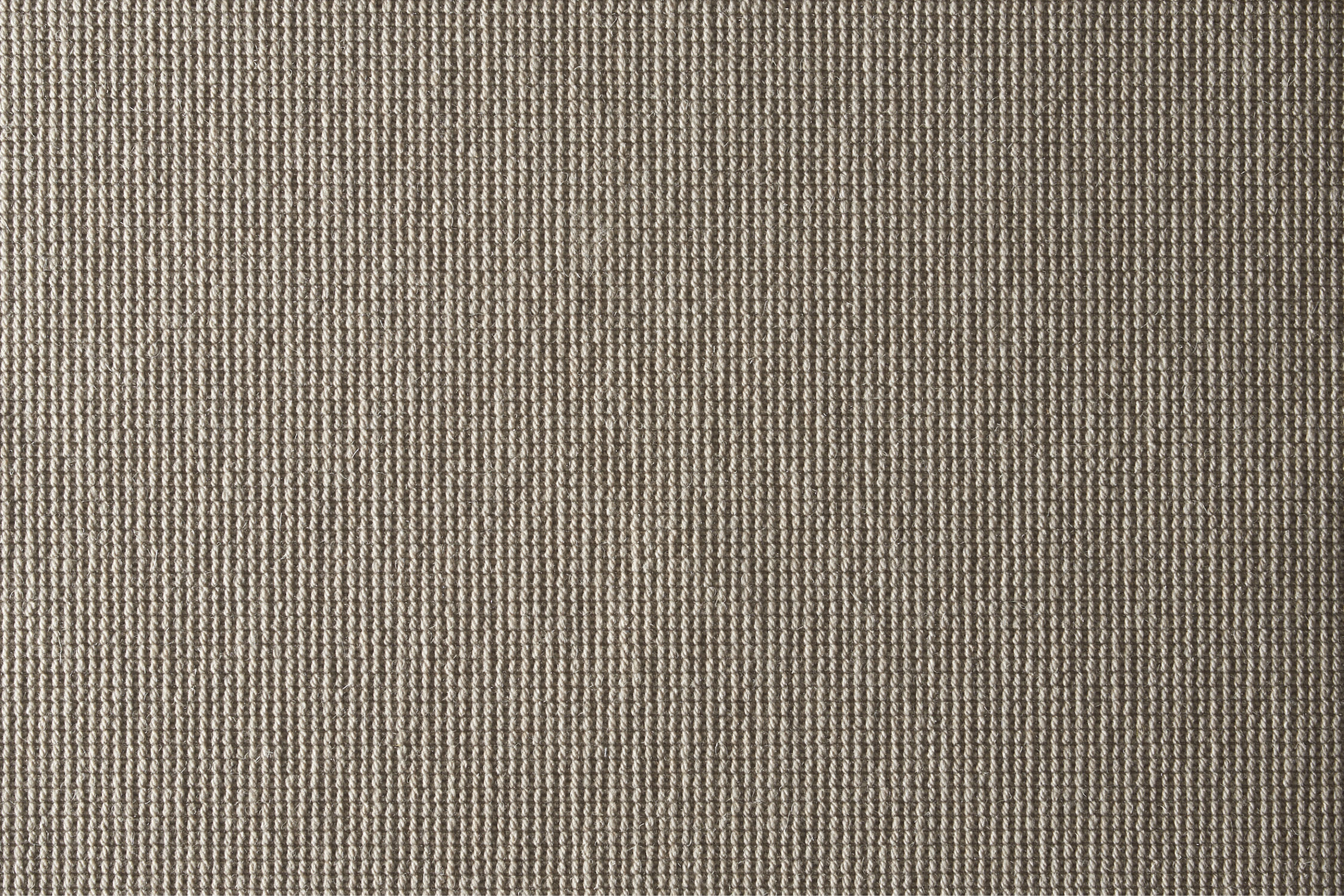 color-rug1