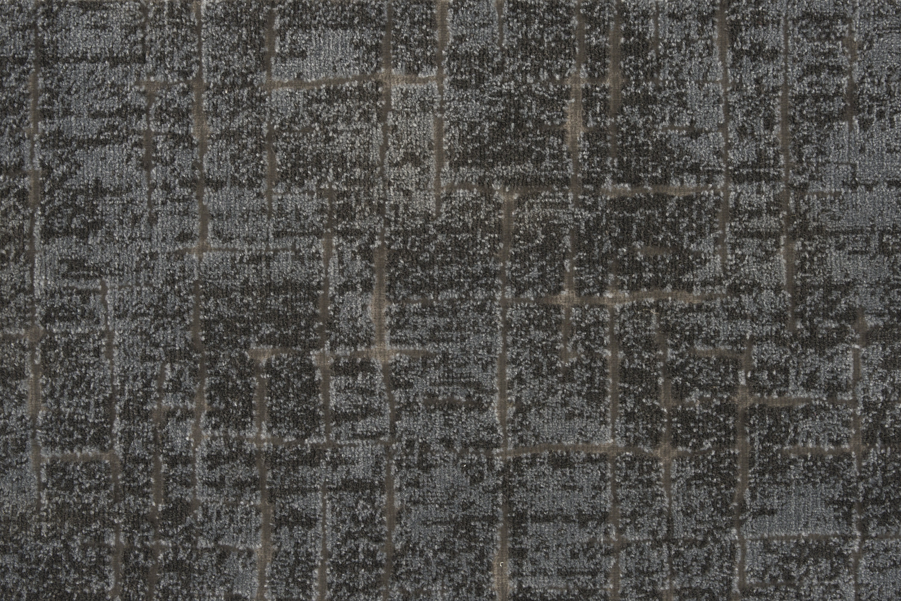color-rug1