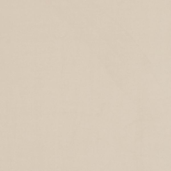 Beige paper-like textured surface with subtle horizontal grain, lying flat and filling the frame; evenly lit, minimal creasing, no distinct objects or shadows.