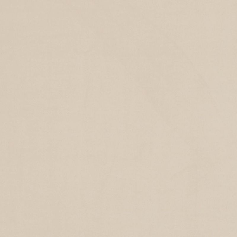 Beige paper-like textured surface with subtle horizontal grain, lying flat and filling the frame; evenly lit, minimal creasing, no distinct objects or shadows.