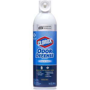 Clorox, Deodorizer, Clean Air Scent, Aerosol, Air Freshener, 14 oz Can