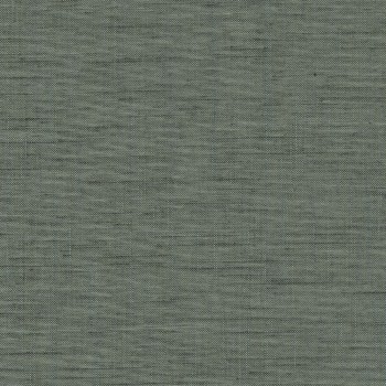 Forecast Forecast-58 Roman Blind