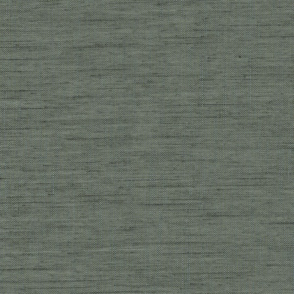 Forecast Forecast-58 Roman Blind