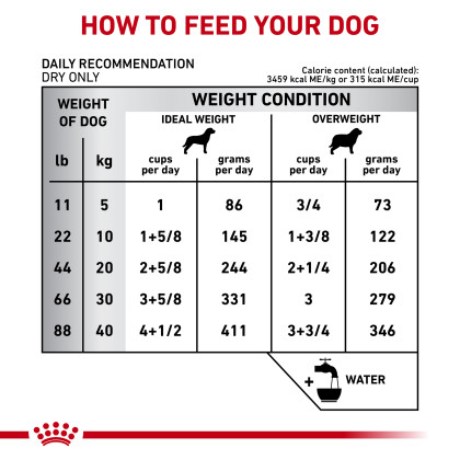 Gastrointestinal Moderate Calorie Dry Dog Food 