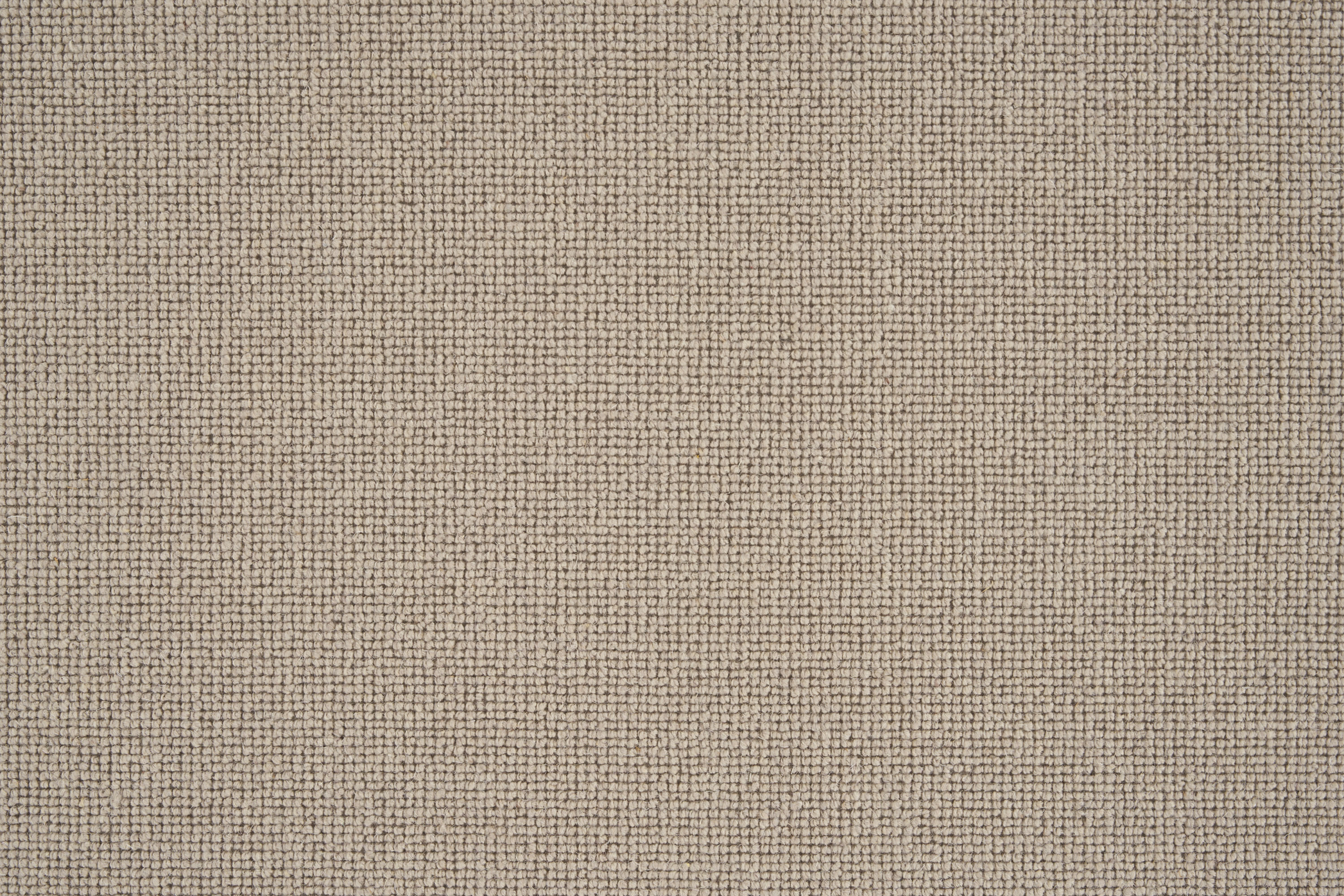 color-rug1