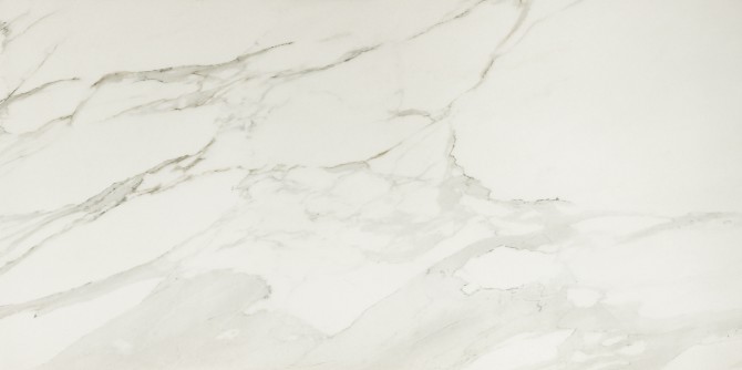 Valentina Calacatta 24×48 Field Tile Matte Rectified