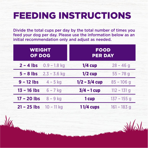 <p>Standard measuring cup holds approximately 4.8 oz (136g) of Wellness Complete Health Grain Free Small Breed Deboned Turkey, Chicken Meal & Salmon Meal Recipe Dog Food.									</p>
<p>Weight of Dog (lbs)	Weight of Dog (kg)	Cups per Day	Grams per Day<br />
2 – 4	0.9 – 1.8	 1/4	28 – 46<br />
5 – 8	2.3 – 3.6	 1/2	55 – 78<br />
9 – 12	4 – 5	1/2 – 3/4	85 – 106<br />
13 – 16	6 – 7	 3/4 -1	112 – 131<br />
17 – 20	8 – 9	1    	137 – 155<br />
21 – 25	10 – 11	1 1/4	161 – 183						</p>
<p>Combination Feeding: If feeding with Wellness wet food, reduce dry amount fed by 1/16 cup (8g) for every 2 tablespoons of wet food.</p>
