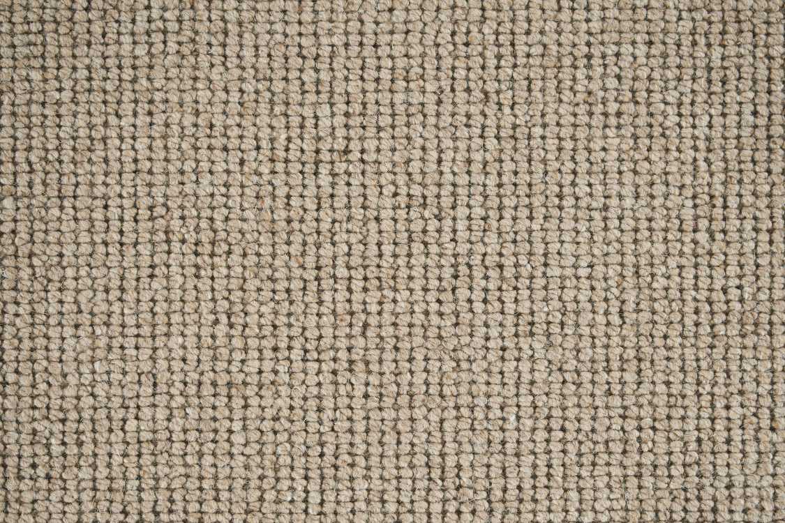 color-rug1